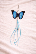 Blue butterfly cat toy attachment with ribbon tail and clip connector