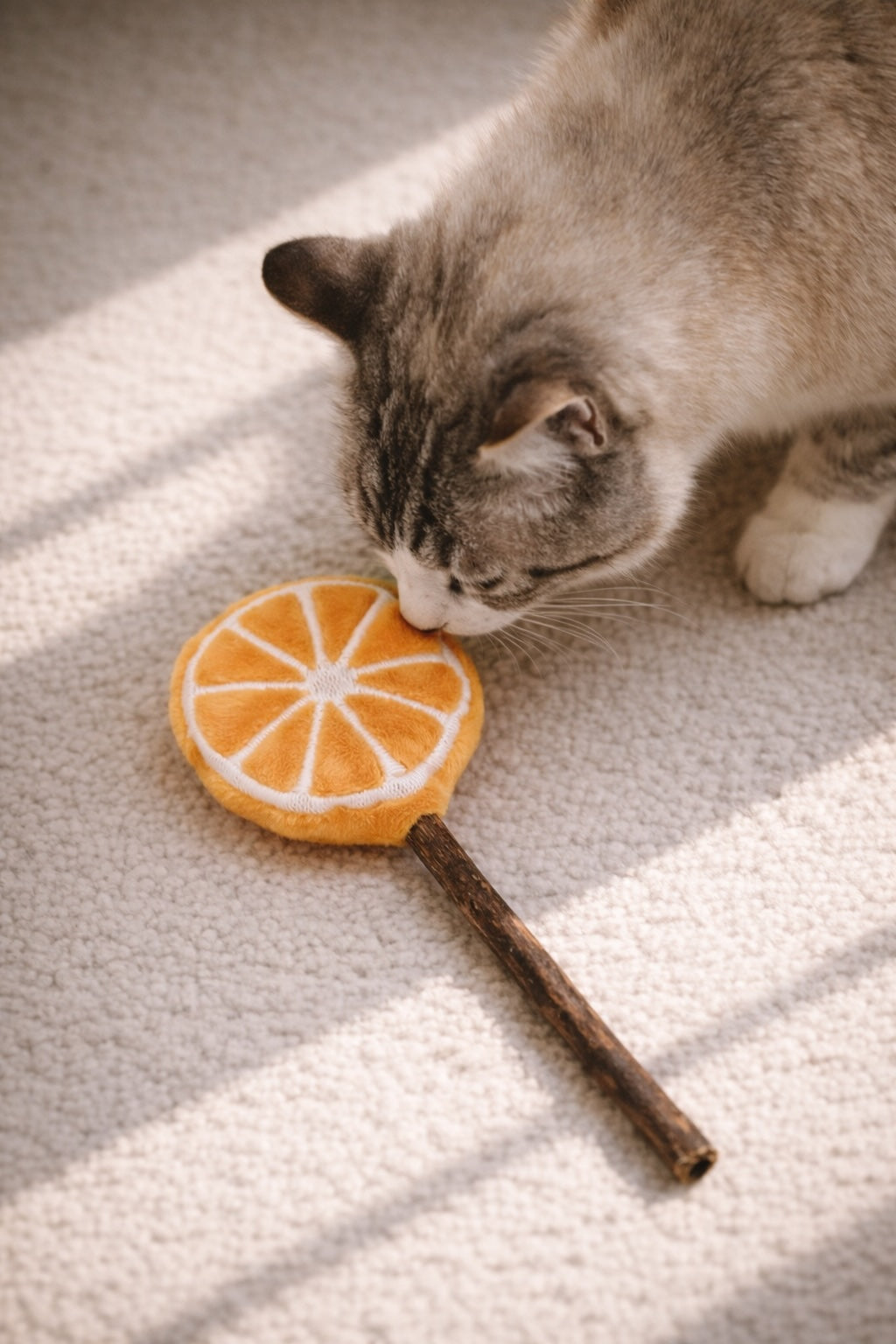 Cat sniffing catnip toy on soft rug
