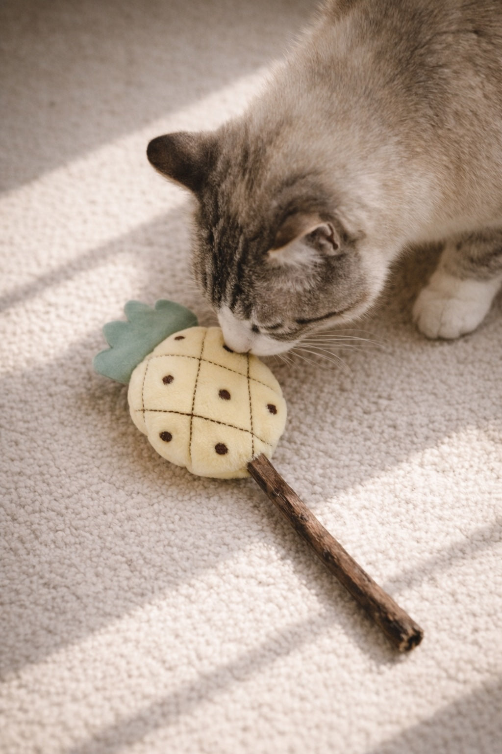Pineapple catnip toy for cats with soft fabric exterior