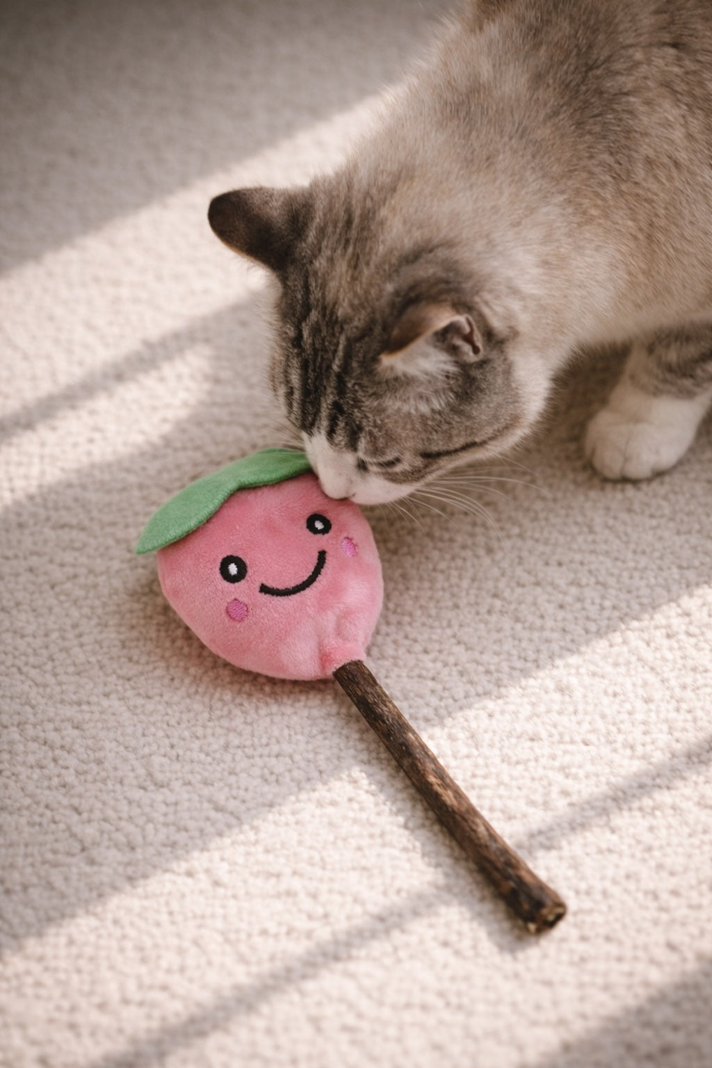 Strawberry catnip toy with organic filling for cats
